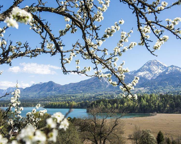 New Life Apartment Latschach ober dem Faakersee Екстериор снимка